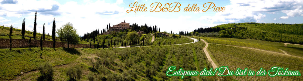 little b&b della pieve, panzano in chianti, toscana