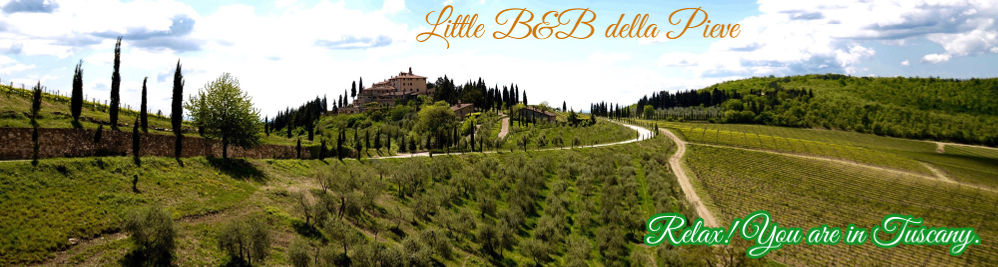 little b&b della pieve, panzano in chianti, toscana