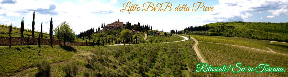 little b&b della pieve, panzano in chianti, toscana